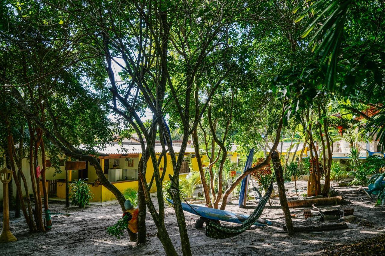 Macaco Surf Hostel Praia de Pipa Екстер'єр фото